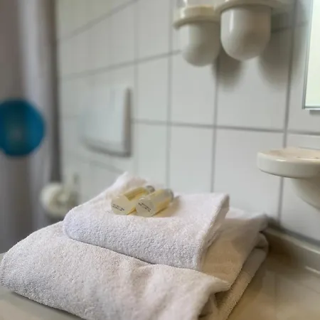 Отель Cronberger Hof 3*